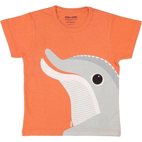 Organic Cotton Tshirt: Dolphin Shirts  at Biddle and Bop