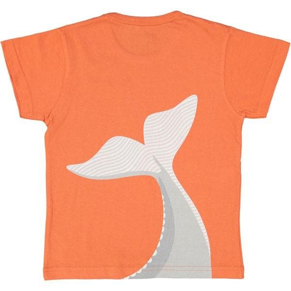 Organic Cotton Tshirt: Dolphin Shirts  at Biddle and Bop