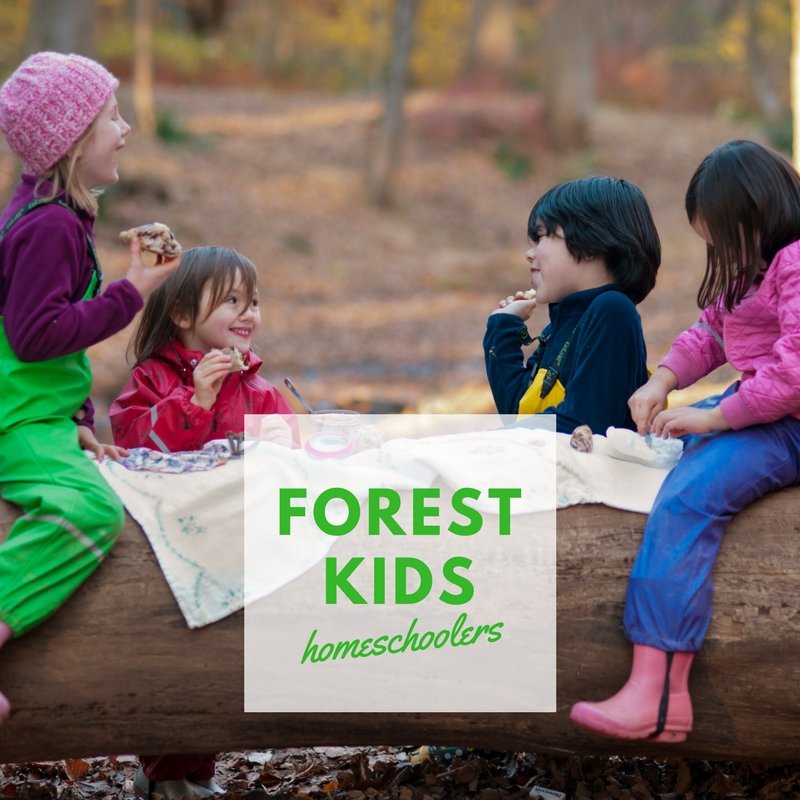 Forest Kids Homeschoolers - Biddle and Bop