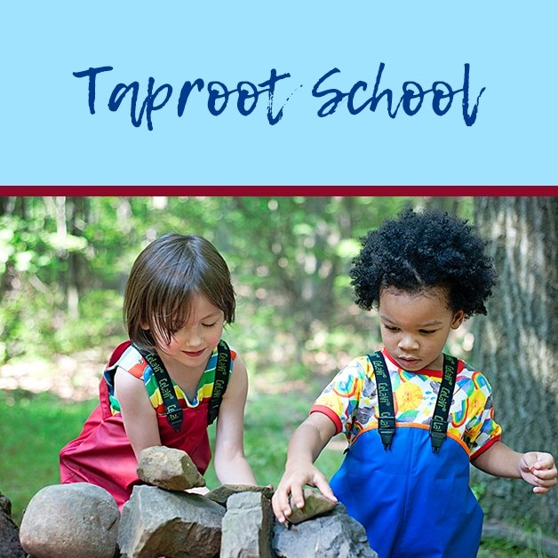 Taproot School - Biddle and Bop