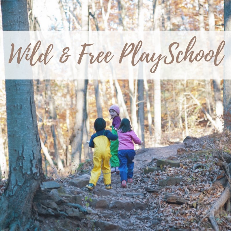 Wild & Free Play School - Biddle and Bop