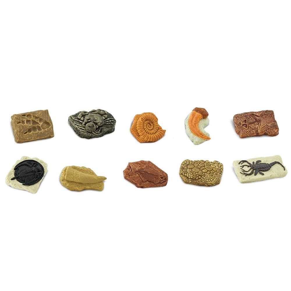 Ancient Fossils TOOB® - Biddle and Bop-Toys-Safari