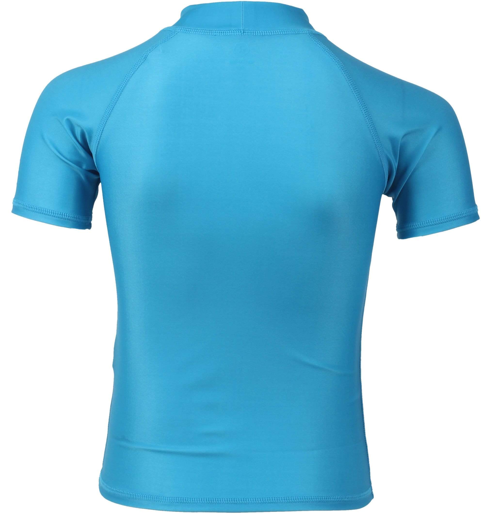 Timon UPF 50+ Short Sleeve Top: Blue Aster – Biddle and Bop