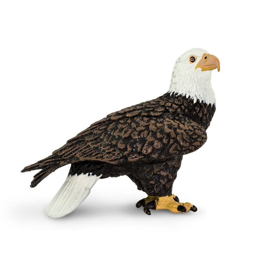 Wings of the World Figure: Bald Eagle