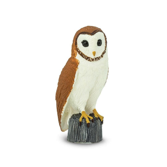 Wings of the World Figure: Barn Owl