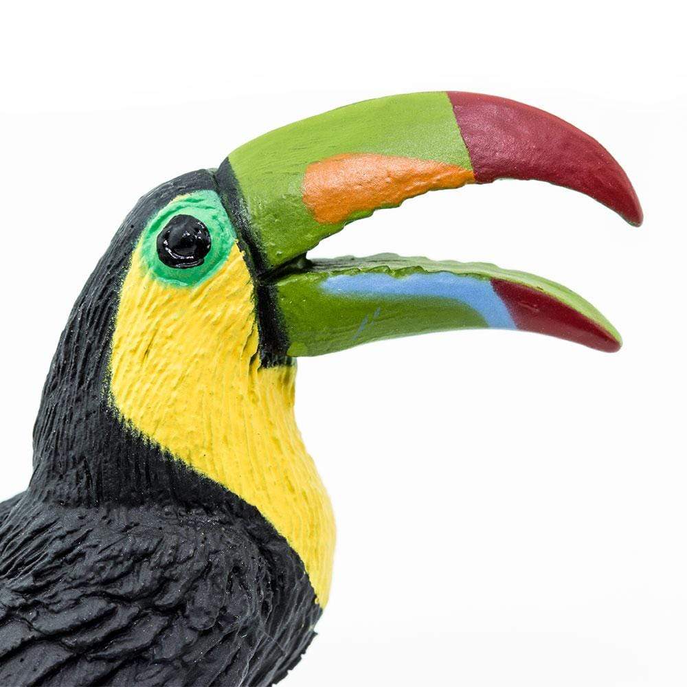 Wings of the World Figure: Toucan