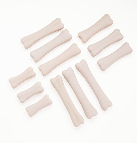 Dinosaur Bones Discovery Set